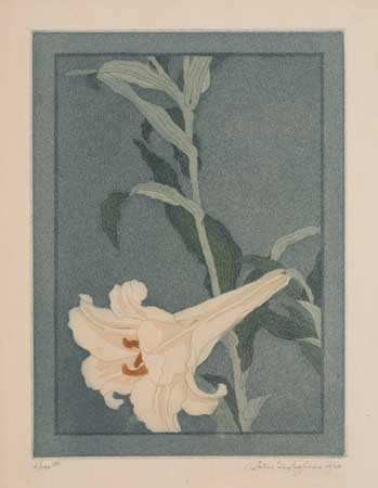 Appraisal: JOHN TAYLOR ARMS Lily Color aquatint on Japan paper x