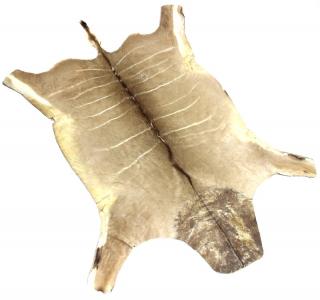 Appraisal: South African Eland Area Rug animal skin the common eland