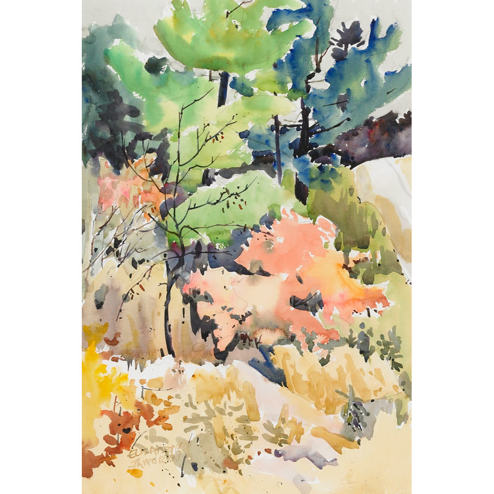 Appraisal: ELIZABETH JAWORSKI FOREST INTERIOR watercolour signed x cm x cm