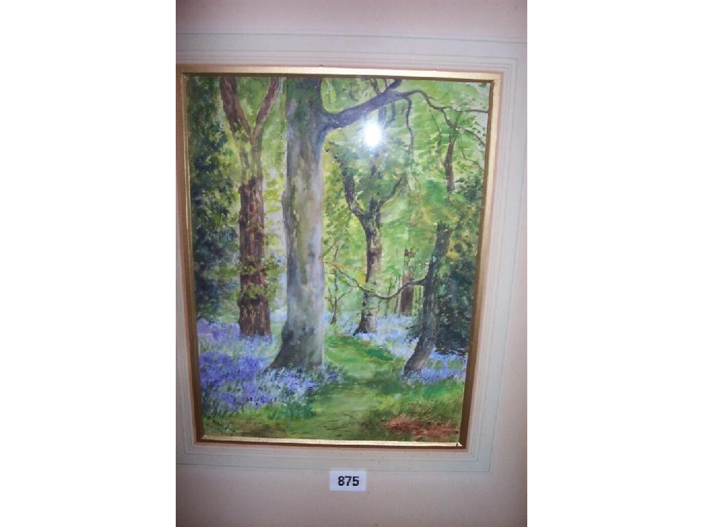 Appraisal: A watercolour of a woodland scene with bluebells signed bottom