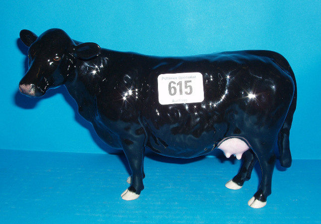 Appraisal: Black Galloway Cow B Boxed