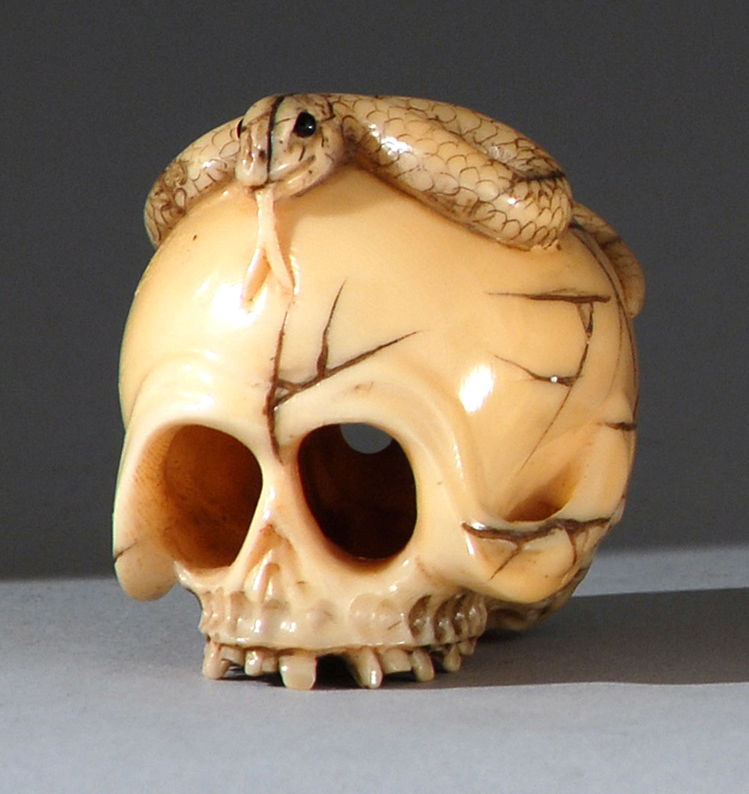 Appraisal: IVORY NETSUKE Meiji PeriodIn the form of a snake crawling