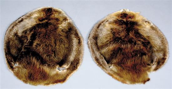 Appraisal: Two beaver pelts W L