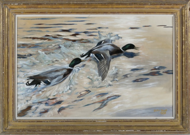 Appraisal: Peter Scott British - Untitled Mallards Landing Oil on canvas