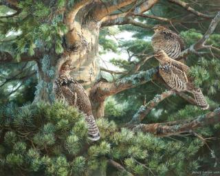 Appraisal: Persis Clayton Weirs th st Century Sunlight Pine Ruffed Grouse