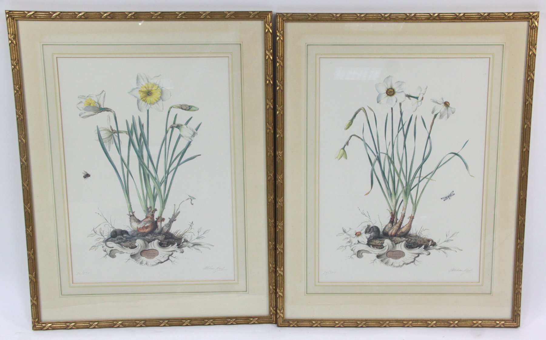 Appraisal: Graham Rust ARR Daffodils a pair signed in pencil from