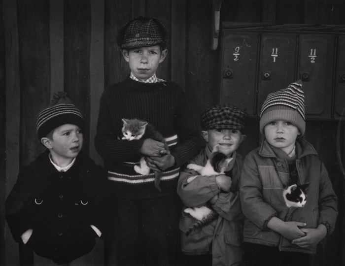 Appraisal: PENTTI SAMMALLAHTI b UNTITLED YOUNG BOYS WITH KITTENS Gelatin silver