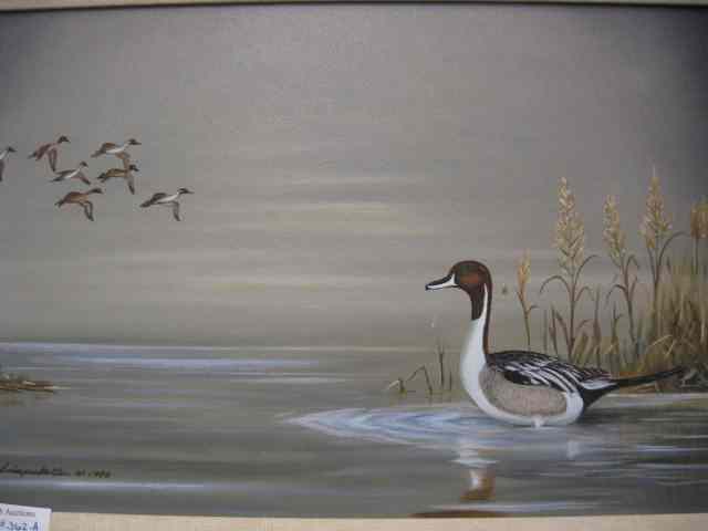 Appraisal: Leland D Schaperkotter Oil ''The Alert Pintail'' Columbia Mo artist