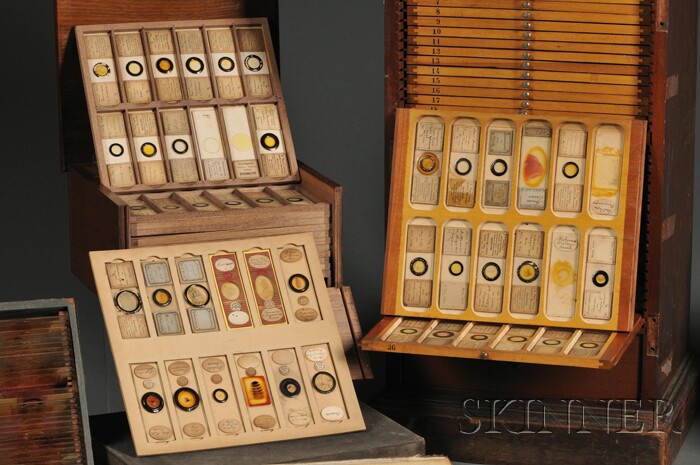 Appraisal: Extensive Collection of Over Mostly Labeled Microscopy Slides th and