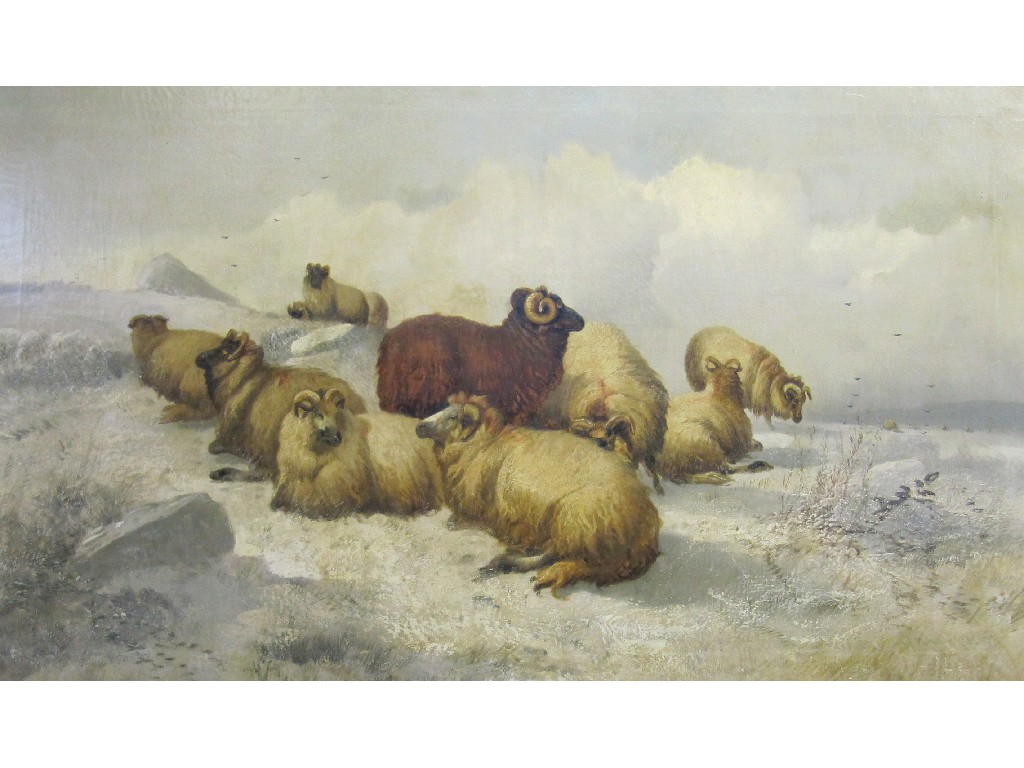 Appraisal: ALFRED MORRIS Oil on canvas 'Sheep in a Winter Landscape'