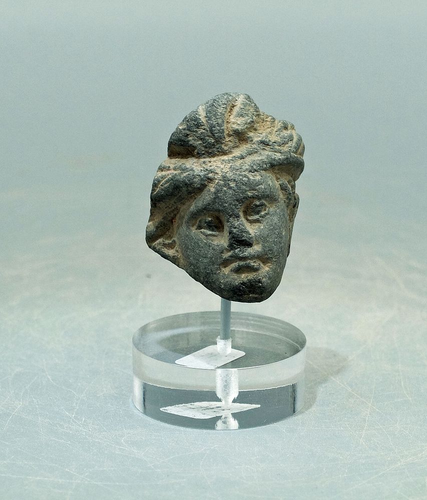 Appraisal: Gandharan Stone Head - Indus Valley rd - th AD