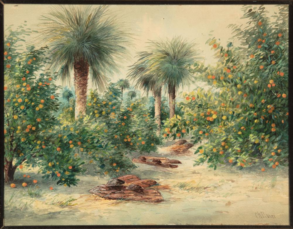 Appraisal: Walter Chaloner American - An Orange Grove in Florida watercolor