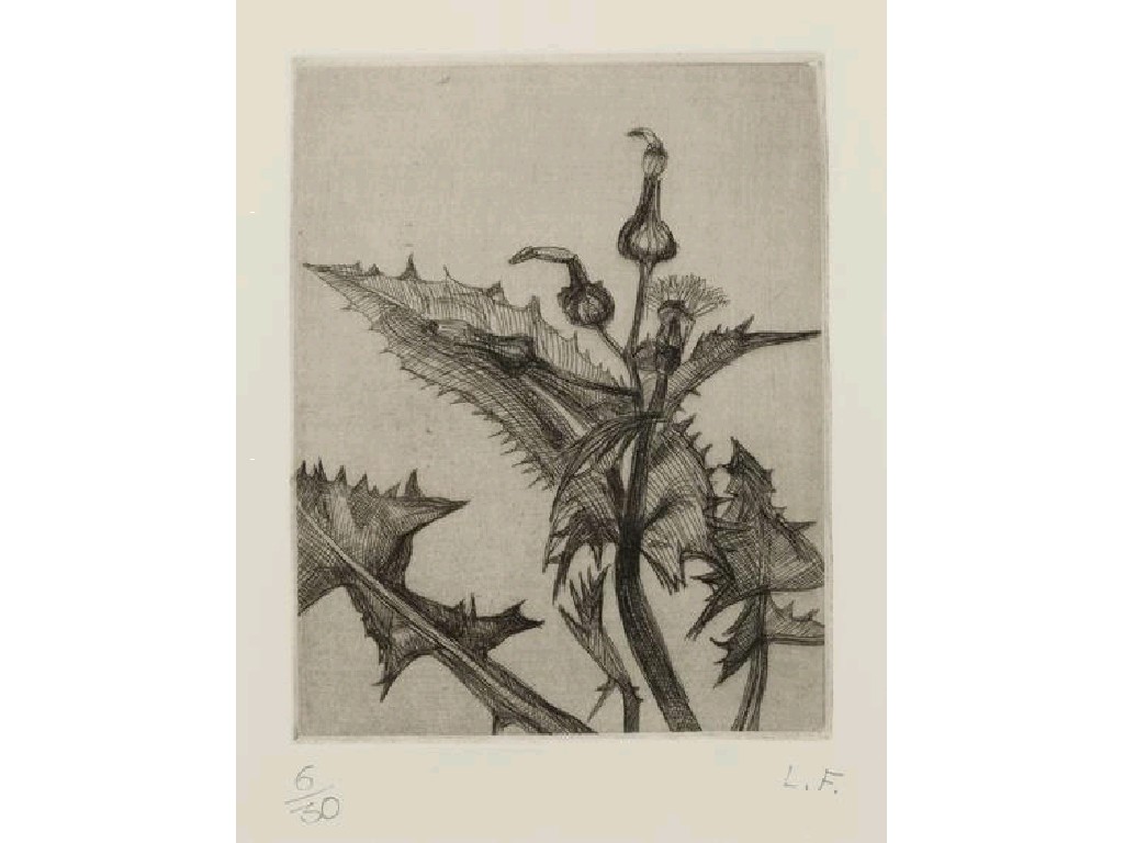 Appraisal: LUCIEN FREUD Thistle initialled LF in pencil to the margin