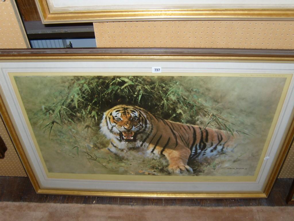 Appraisal: A coloured print after David Shepherd Tiger Fine Art Guild