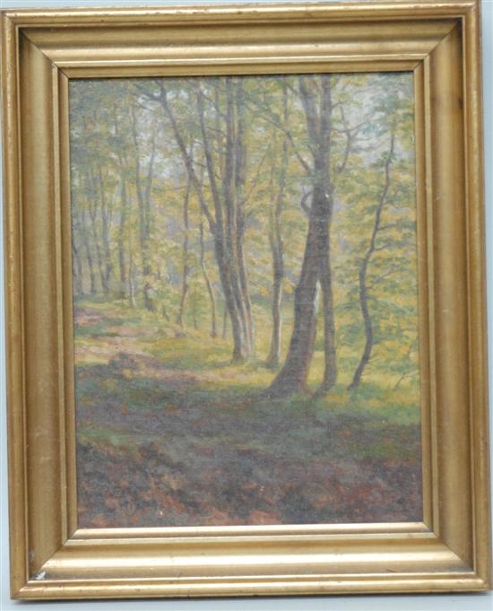 Appraisal: OIL ON CANVAS FOREST LANDSCAPE Bearing monogram and dated X