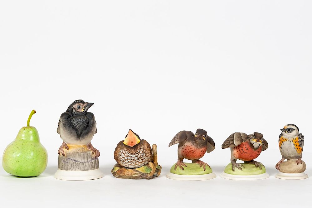 Appraisal: Five Boehm Porcelain Fledgling Bird Figurines Boehm American founded A