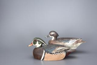 Appraisal: Wood Duck Pair Benjamin Schmidt Wood Duck Pair Benjamin Schmidt