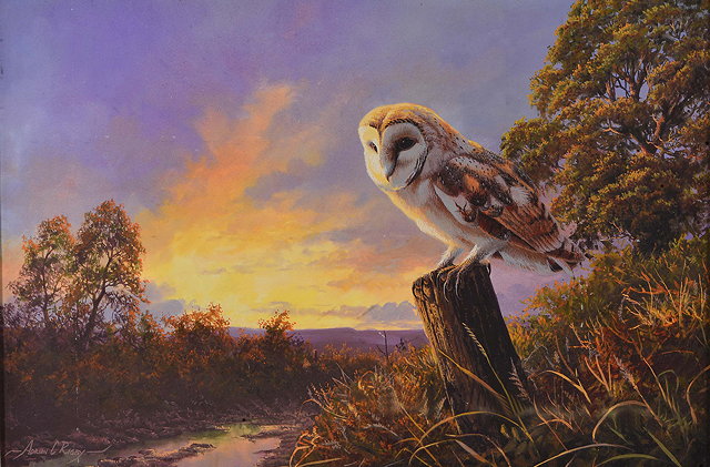 Appraisal: ADRIAN C RIGBY b 'Barn Owl - the Night Shift'