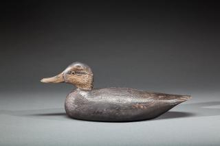 Appraisal: Black Duck A Elmer Crowell - East Harwich MA c