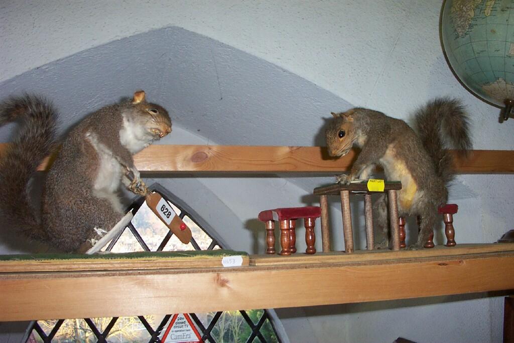 Appraisal: A pair of stuffed and mounted squirrels in humorous poses