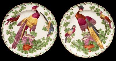 Appraisal: Two Chelsea plates circa boldly painted with exotic birds within