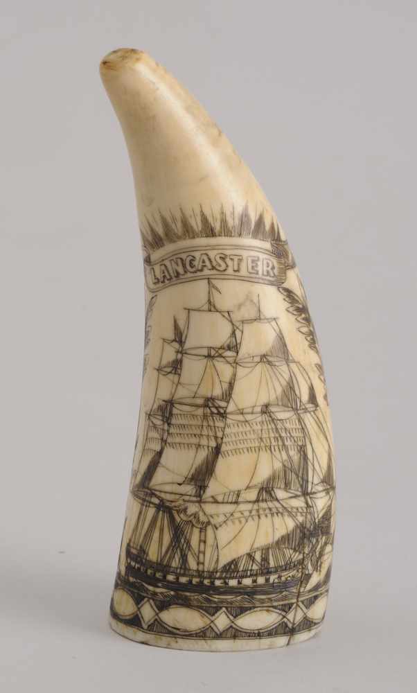 Appraisal: AMERICAN SCRIMSHAW CARVED WHALE'S TOOTH The one side with a