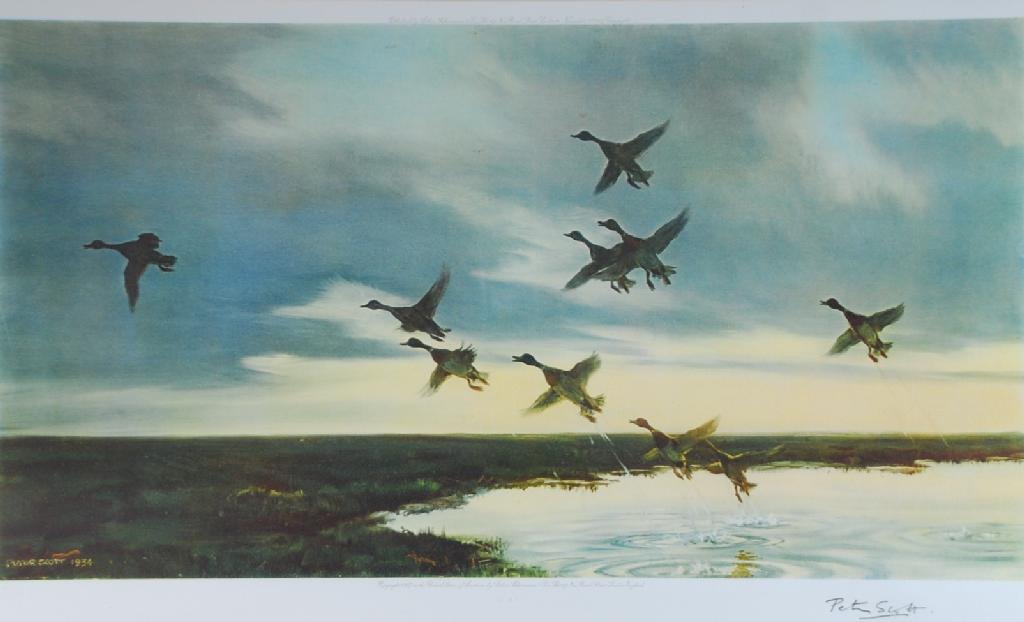 Appraisal: PETER SCOTT ARTIST SIGNED COLOUR PRINT Ducks taking flight from