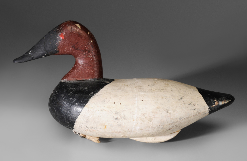 Appraisal: Stanley Evans Canvasback Drake Decoy Ch