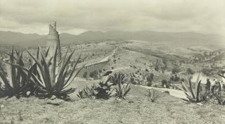 Appraisal: Photograph Attributed to Alvarez Bravo Attributed to Alvarez Bravo Mexican