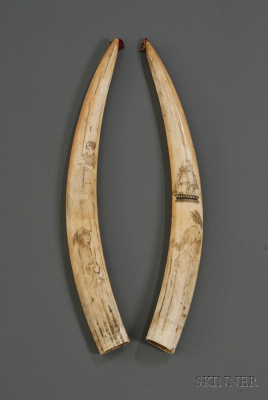 Appraisal: Pair of Scrimshawed Walrus Tusks late th century one tusk