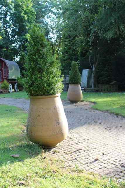 Appraisal: A PAIR OF TERRACOTTA TURNED PLANTERS of spreading ovoid form