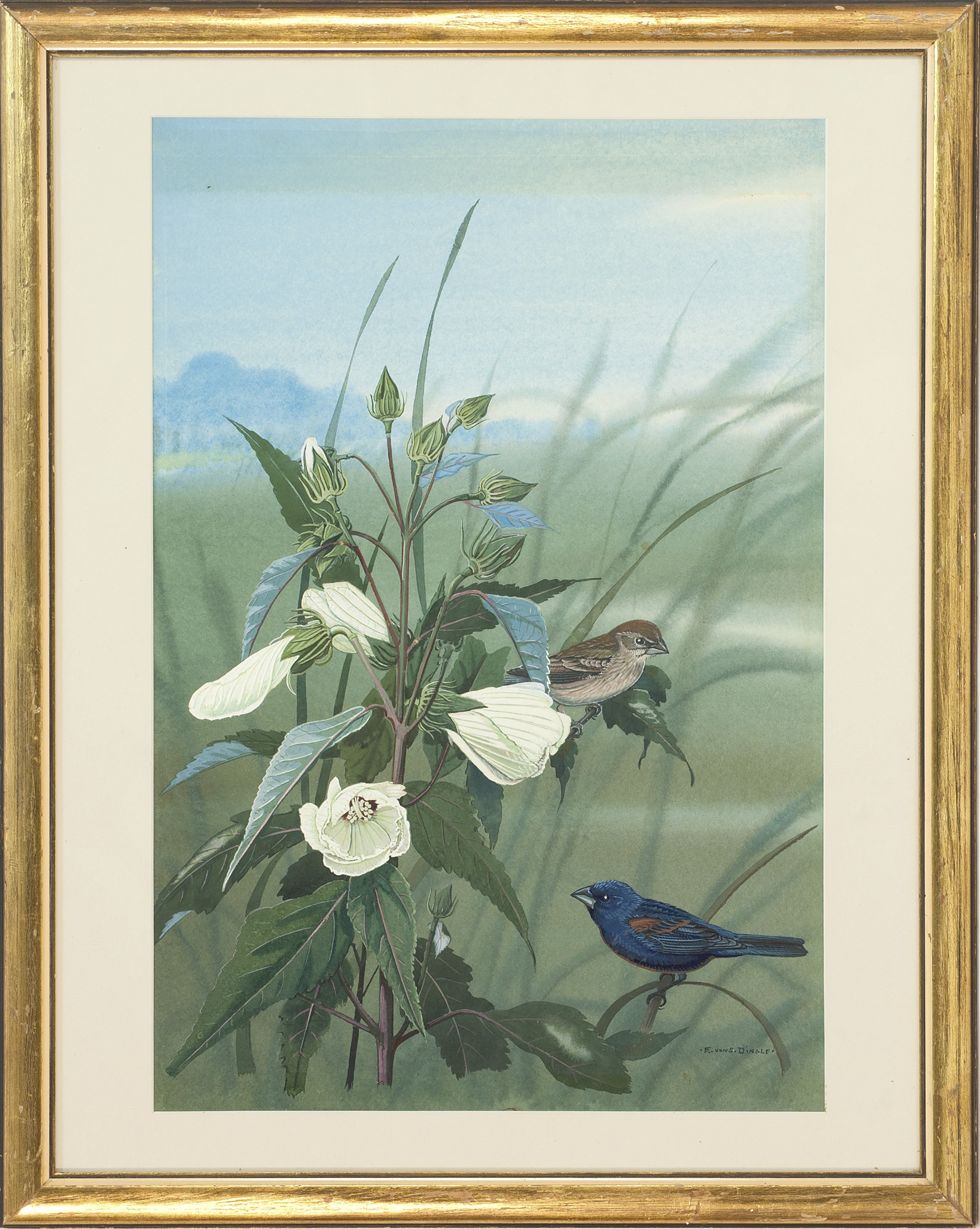 Appraisal: EDWARD VON SIEBOLD DINGLEAmerican - No - Blue Grosbeak Signed