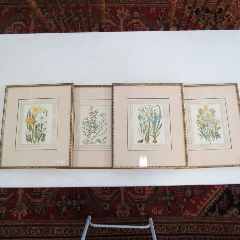 Appraisal: Set of Botanical Prints nicely matted and framed