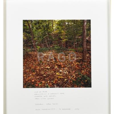 Appraisal: Andy Goldsworthy British b Line of sticks Reworked in a