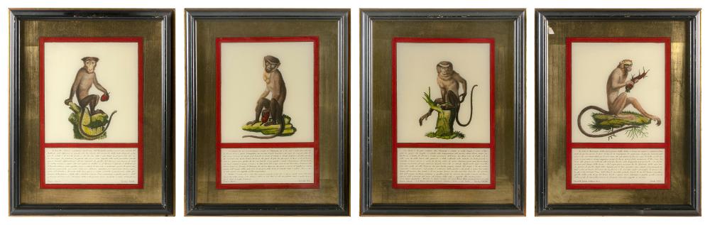 Appraisal: SET OF FOUR JACOB'S MONKEYS TH CENTURY X SIGHT FRAMED