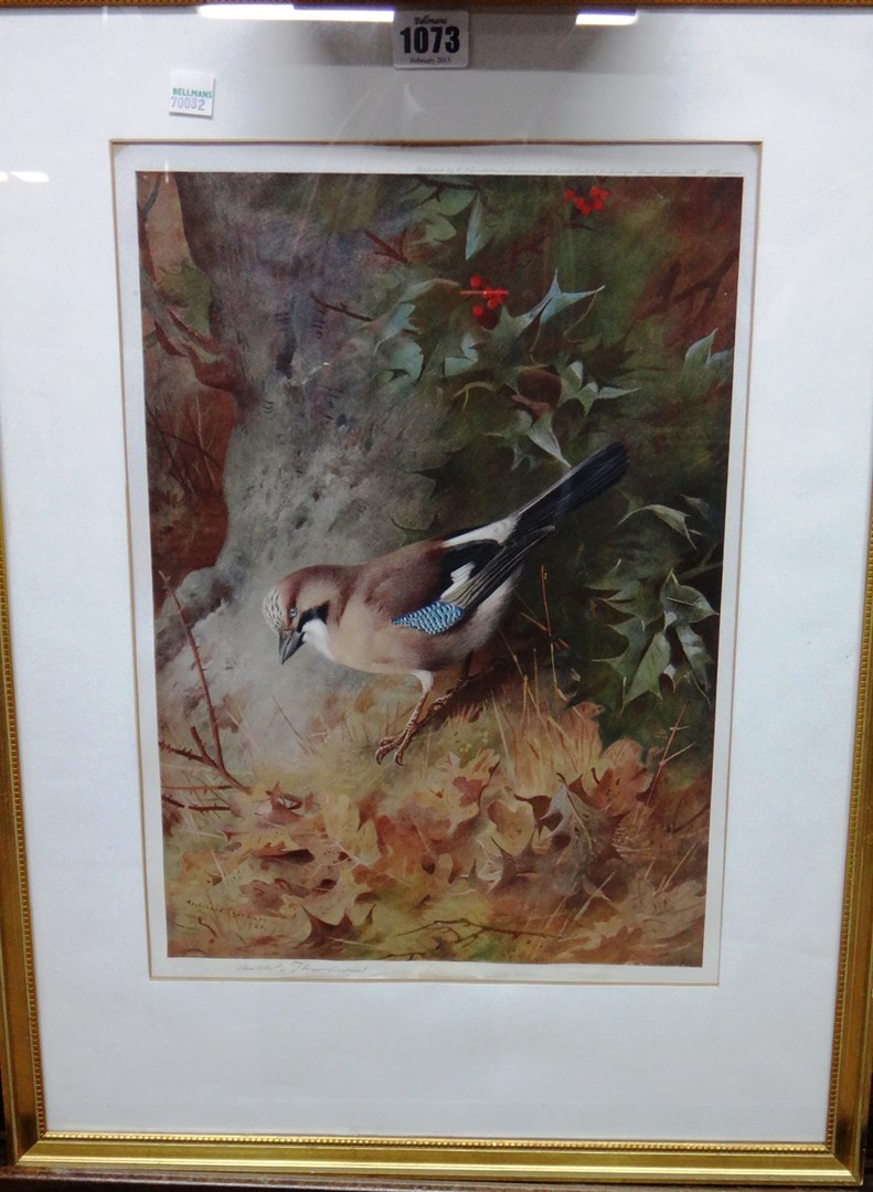 Appraisal: Archibald Thorburn - Jay Kingfisher Snipe Woodcock four colour prints