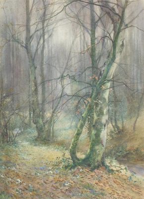 Appraisal: Thomas Tayler Ireland fl - The birch wood Signed Watercolour