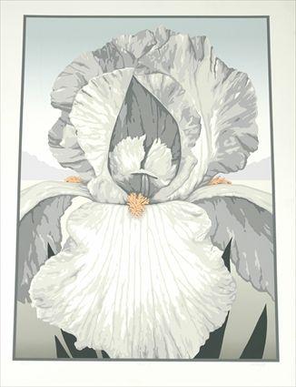 Appraisal: Tom Hamill th C Iris I Screen print signed lower