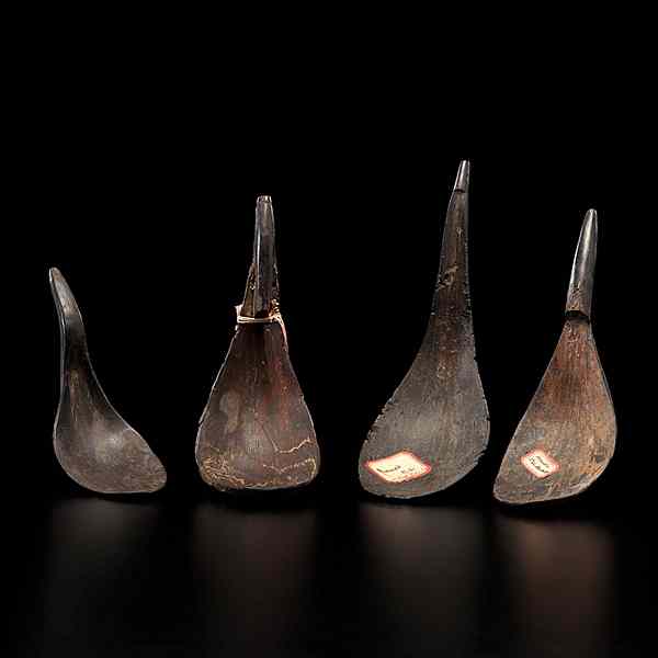 Appraisal: Haida Mountain Goat Horn Spoons lot of varying sizes and