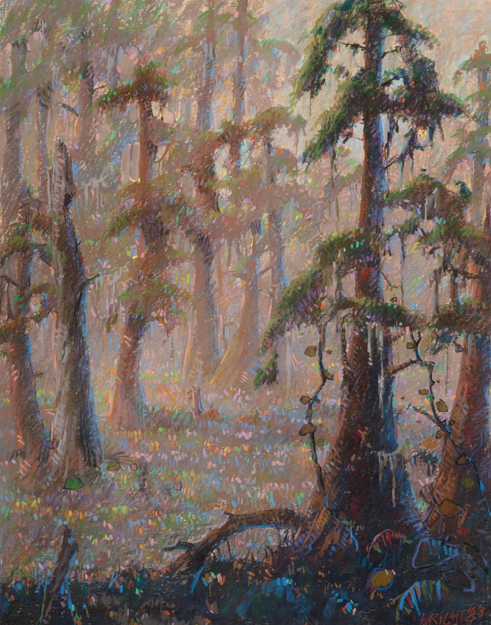 Appraisal: Don Wright American Louisiana - Cypress Trees pastel on paper