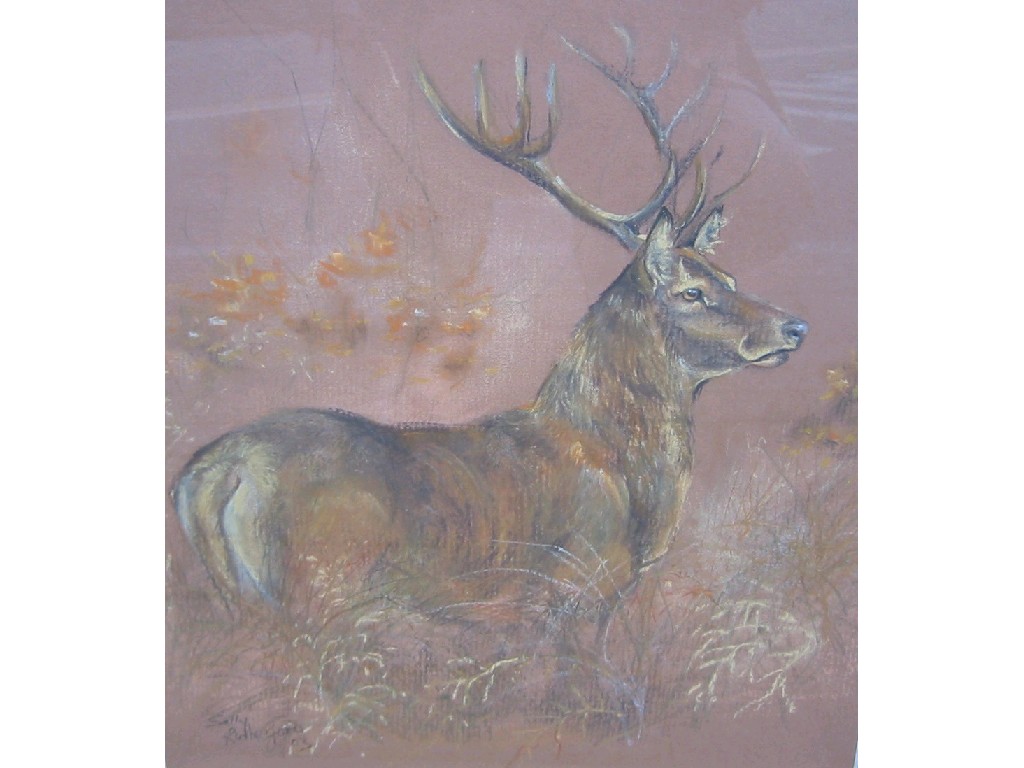 Appraisal: SALLY RUTHERFORD ' Evening Stag' a study of a red