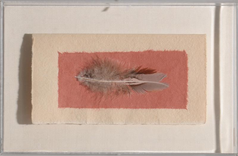 Appraisal: WINIFRED LUTZ b FEATHER Feather collage on tiered wove paper