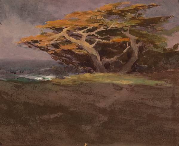 Appraisal: Mary DeNeale Morgan - Windswept Monterey Cypress signed 'M DeNeale