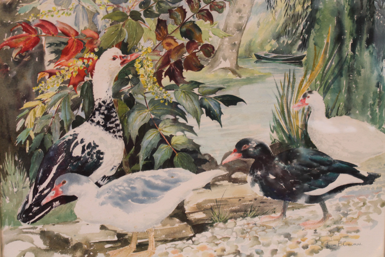 Appraisal: Ivor B Coburn b Ducks and waterfowl before boat on