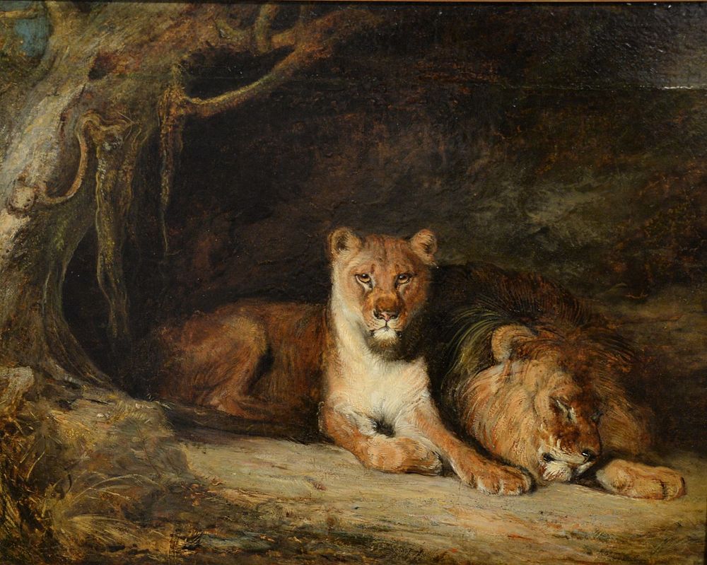 Appraisal: Attributed to Heywood Hardy British - Two Lions oil on