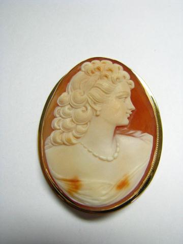 Appraisal: K yellow gold cameo pin pendant