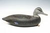 Appraisal: DECOY - th c black duck hollow body decoy possibly