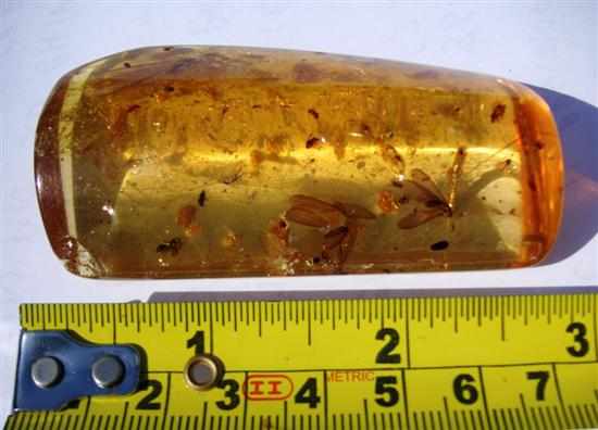 Appraisal: COLOMBIAN COPAL many insects within CT