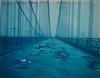 Appraisal: CYANOTYPES eugene de salignac - Group of approximately photographs by