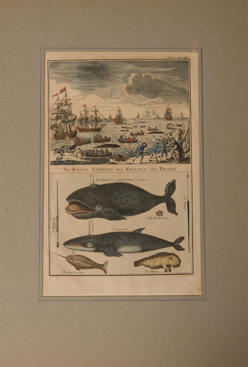 Appraisal: AFTER BAYARD TAYLOR - SERRANUS TSIRIMENARA NATURAL HISTORY PLATE III